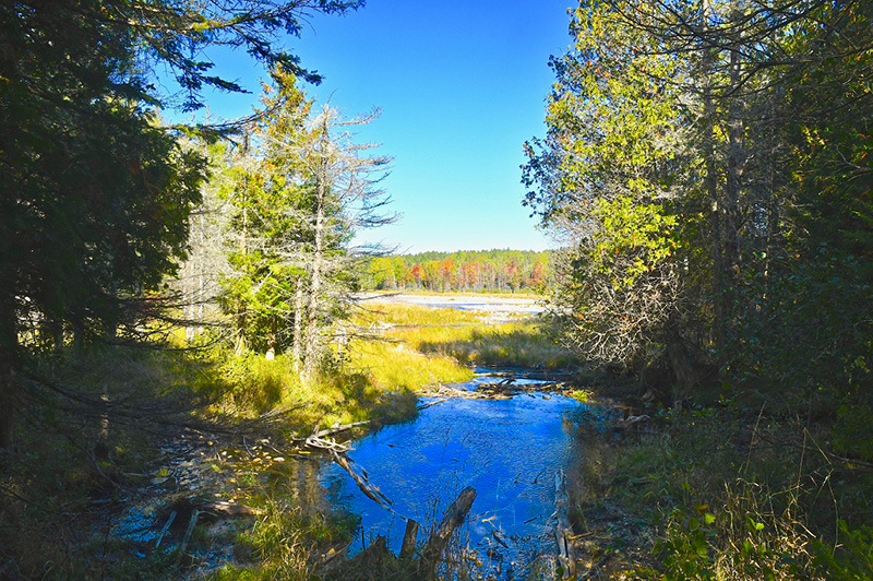 North Country Trail (Mackinac County)